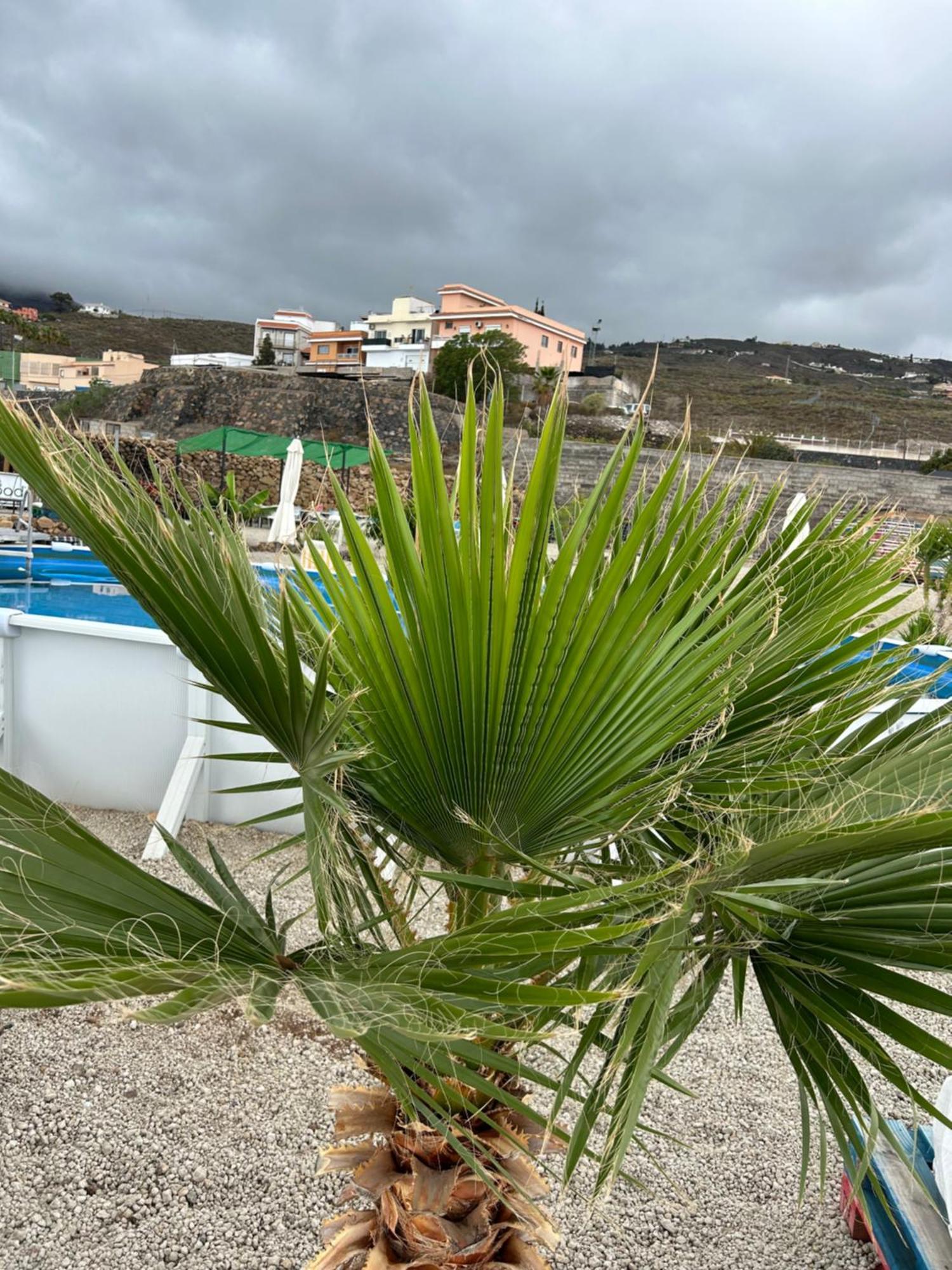 Casa Mirador Apartment Arona  Luaran gambar