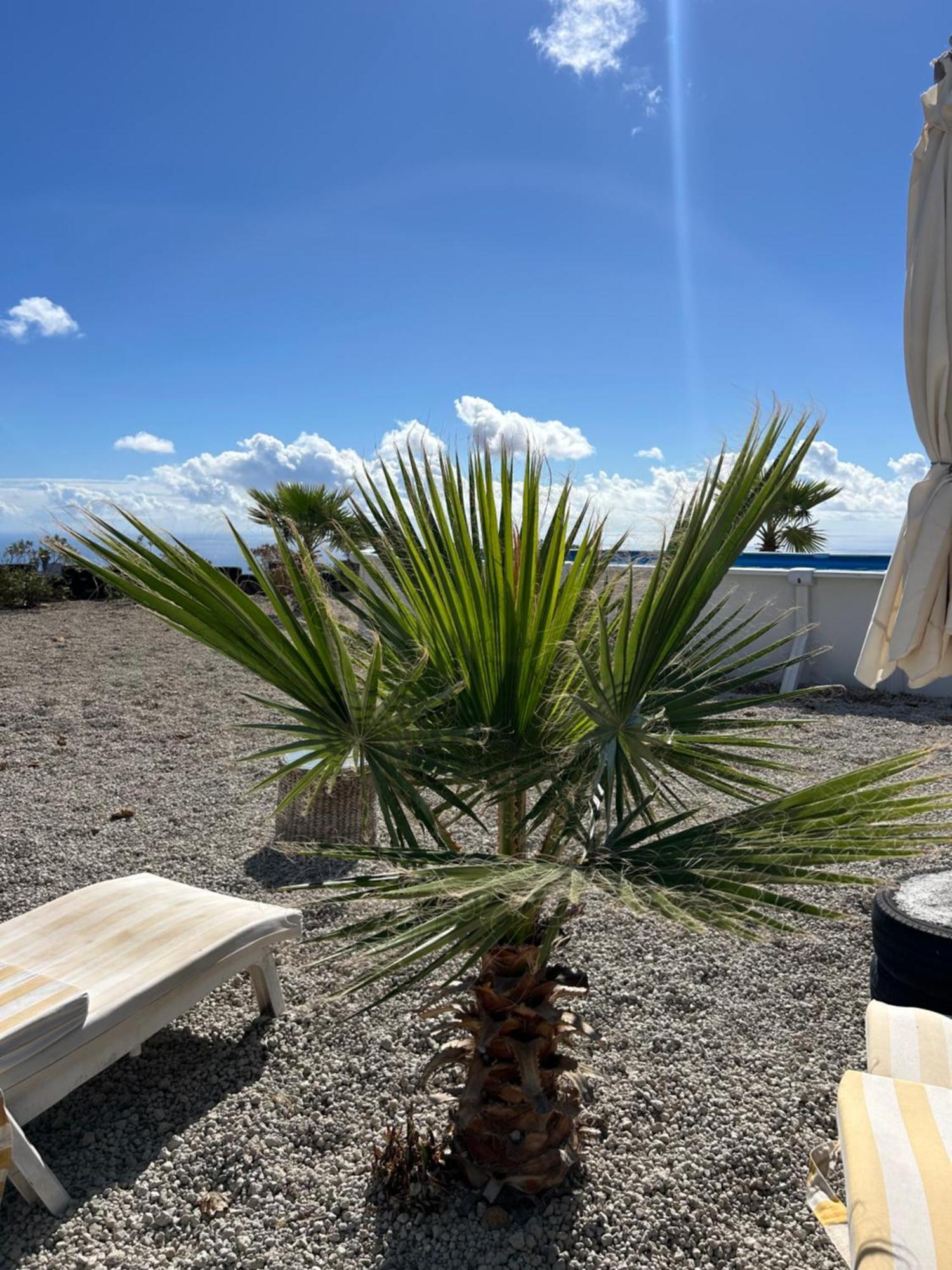 Casa Mirador Apartment Arona  Luaran gambar